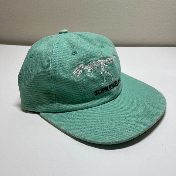 supreme dinosaur hat